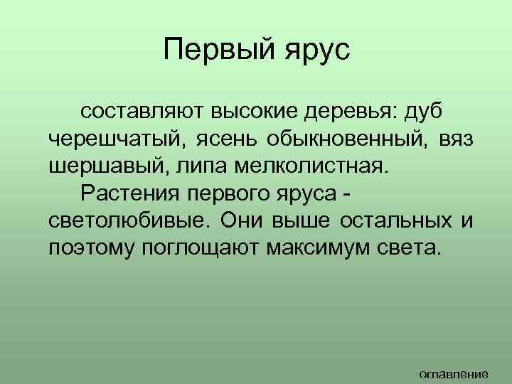 Первый ярус составляют высокие деревья: дуб черешчатый, ясень обыкновенный, вяз шершавый, липа мелколистная. Растения