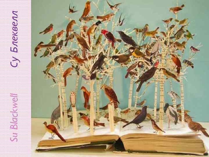 Su Blackwell Су Блеквелл 