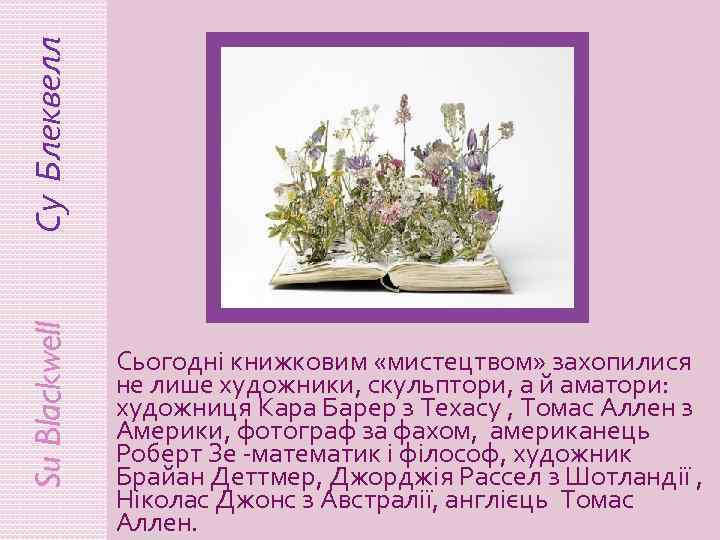 Су Блеквелл Su Blackwell Сьогодні книжковим «мистецтвом» захопилися не лише художники, скульптори, а й