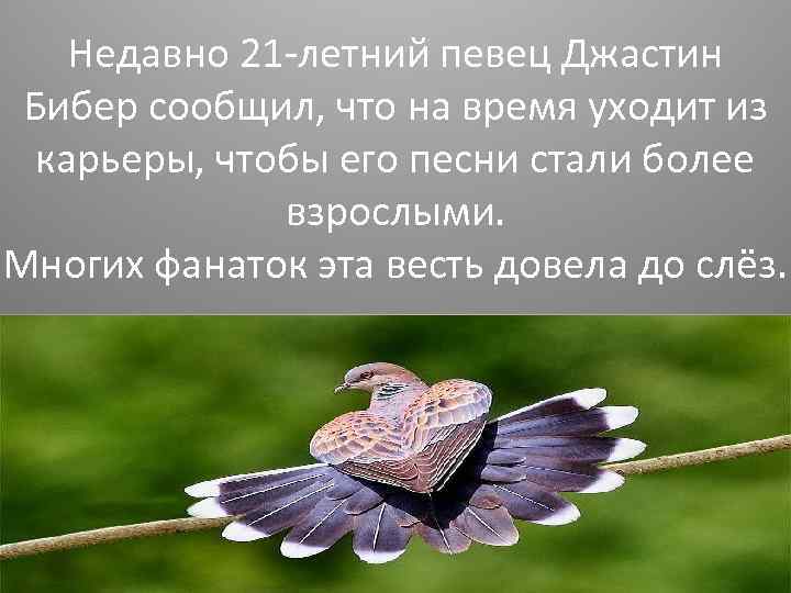 Недавно 21 -летний певец Джастин Бибер сообщил, что на время уходит из карьеры, чтобы
