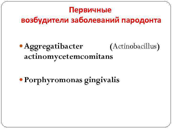 Первичные возбудители заболеваний пародонта Aggregatibacter (Actinobacillus) actinomycetemcomitans Porphyromonas gingivalis 