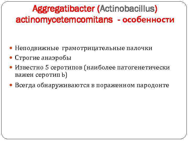 Aggregatibacter (Actinobacillus) actinomycetemcomitans - особенности Неподвижные грамотрицательные палочки Строгие анаэробы Известно 5 серотипов (наиболее