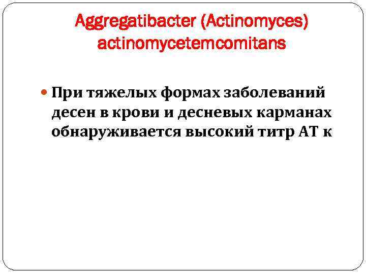 Aggregatibacter (Actinomyces) actinomycetemcomitans При тяжелых формах заболеваний десен в крови и десневых карманах обнаруживается