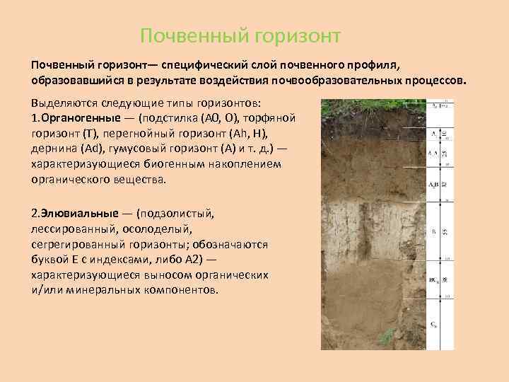 Схема почвенных горизонтов