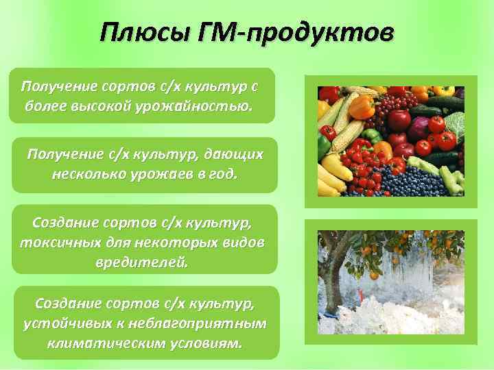 Генномодифицированные продукты за и против презентация