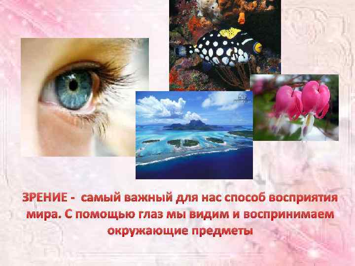 ЗРЕНИЕ - самый важный для нас способ восприятия мира. С помощью глаз мы видим