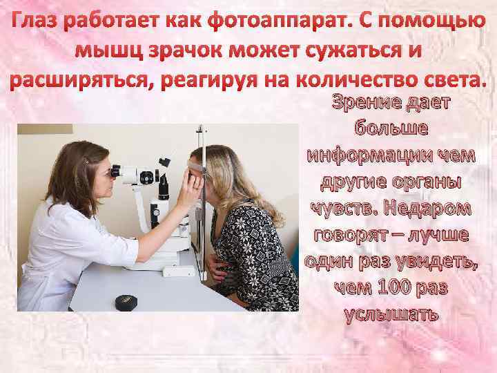 Глаз работает как фотоаппарат. С помощью мышц зрачок может сужаться и расширяться, реагируя на