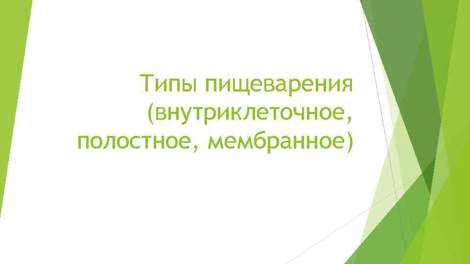 Типы пищеварения (внутриклеточное, полостное, мембранное) 