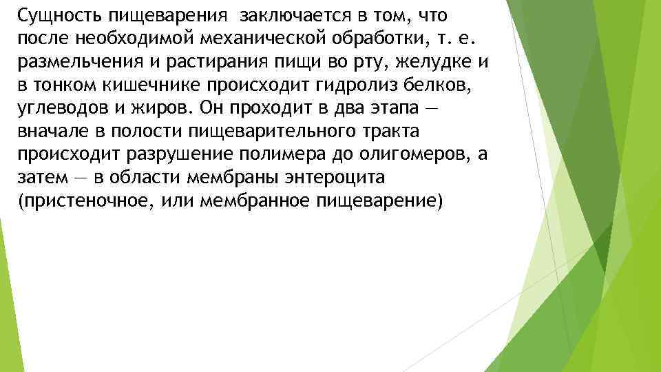 Сущность пищеварения заключается в том, что после необходимой механической обработки, т. е. размельчения и