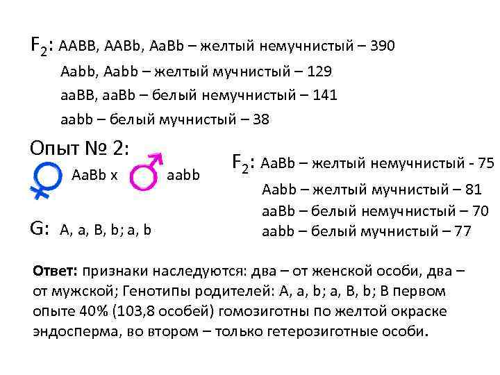 F 2: AABB, AABb, Aa. Bb – желтый немучнистый – 390 Aabb, Aabb –