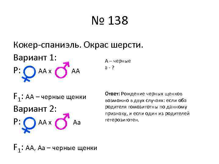 № 138 Кокер-спаниэль. Окрас шерсти. Вариант 1: А – черные а-? Р: АА х