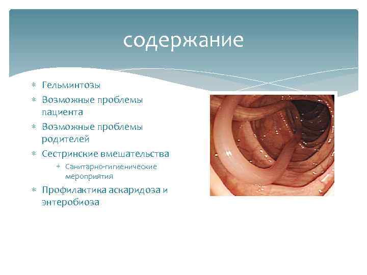 содержание Гельминтозы Возможные проблемы пациента Возможные проблемы родителей Сестринские вмешательства Санитарно-гигиенические мероприятия Профилактика аскаридоза