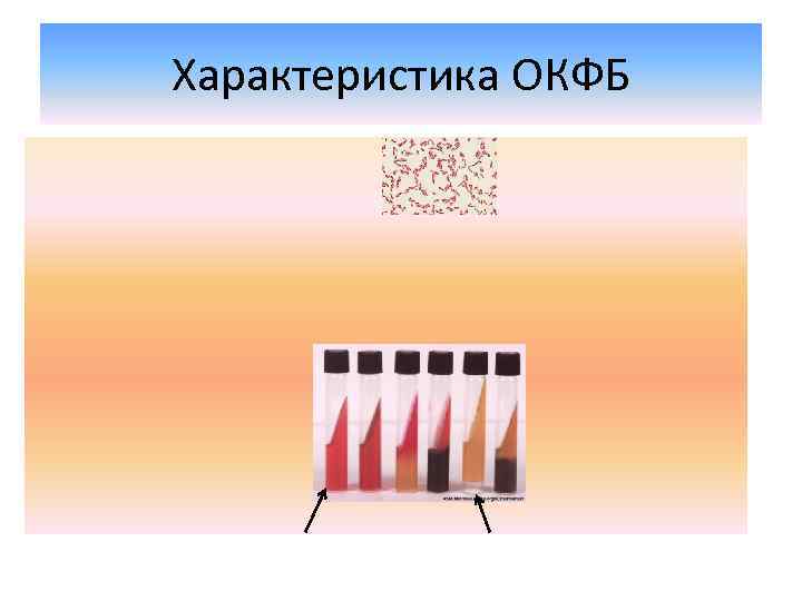 Характеристика ОКФБ 