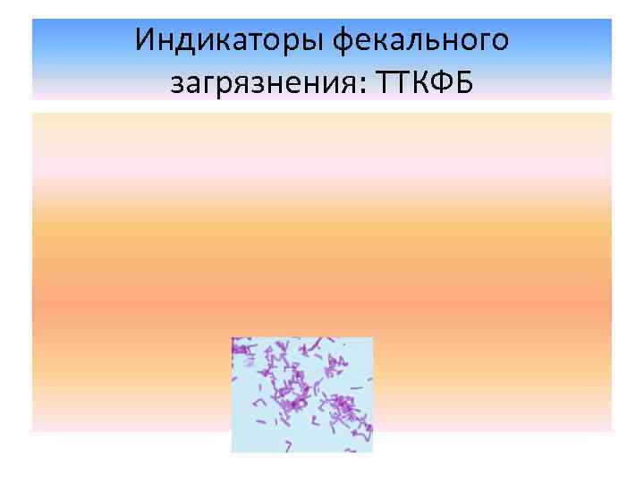 Индикаторы фекального загрязнения: ТТКФБ 