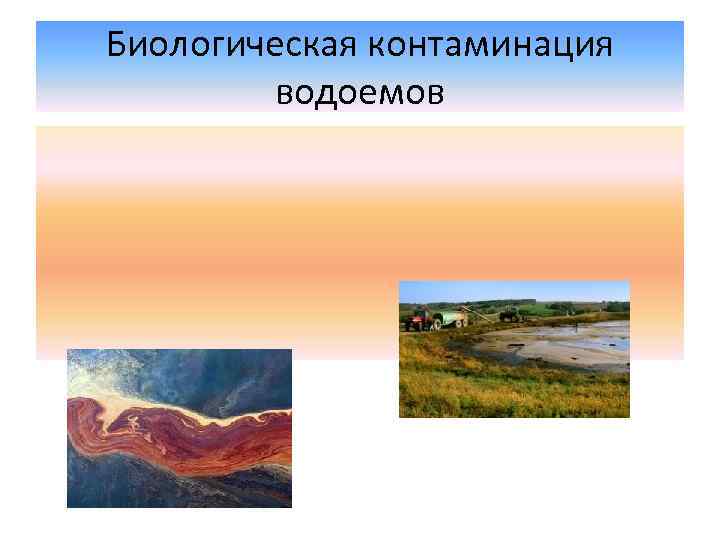 Биологическая контаминация водоемов 