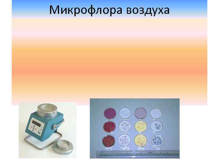 Микрофлора воздуха 