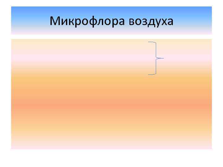 Микрофлора воздуха 