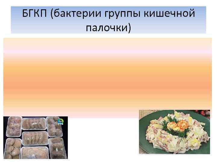 БГКП (бактерии группы кишечной палочки) 