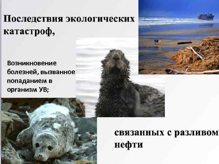 Возникновение болезней, вызванное попаданием в организм УВ; 