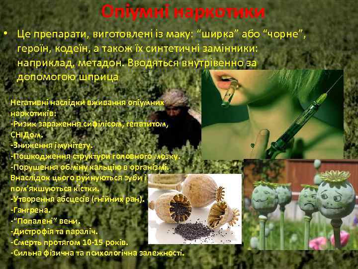 Опіумні наркотики • Це препарати, виготовлені із маку: “ширка” або “чорне”, героїн, кодеїн, а