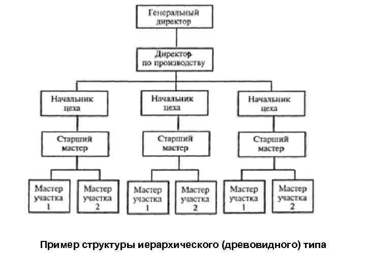 Пример структуры иерархического (древовидного) типа 