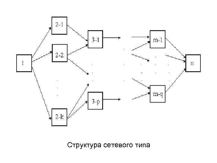 Структура сетевого типа 