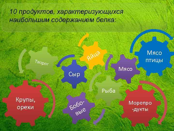 10 продуктов, характеризующихся наибольшим содержанием белка: Я Творо г Мясо птицы ца й Мясо