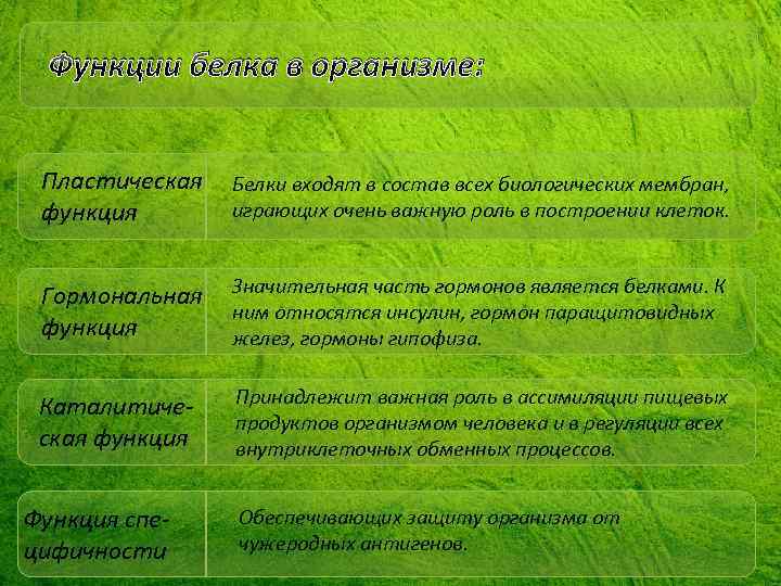 Функции белка в организме: Пластическая Белки входят в состав всех биологических мембран, играющих очень