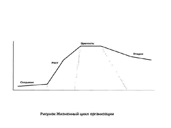 Рисунок Жизненный цикл организации 