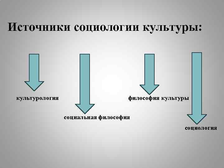 Источники социологии культуры: культурология философия культуры социальная философия социология 