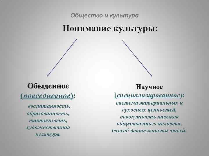 Понимание культуры. Обыденное понимание культуры. Научное понимание культуры. Обыденное и научное понимание культуры. Обыденное понятие культуры.