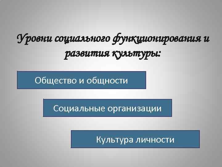 Уровни социального функционирования и развития культуры: Общество и общности Социальные организации Культура личности 