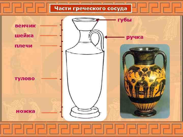 Части греческого сосуда венчик шейка плечи тулово ножка губы ручка 