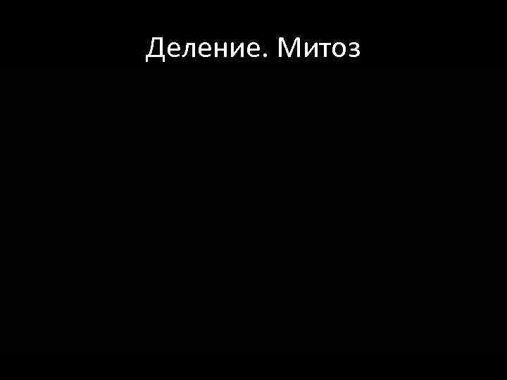 Деление. Митоз 