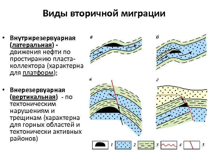 Виды вторичных