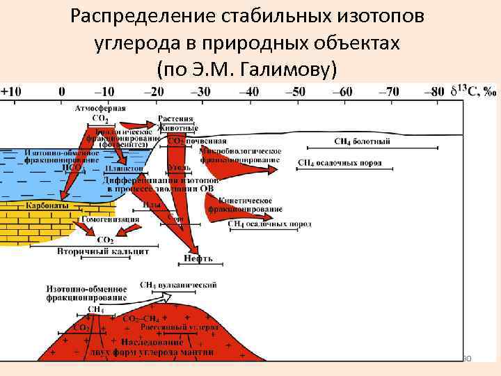 Углерод в составе нефти