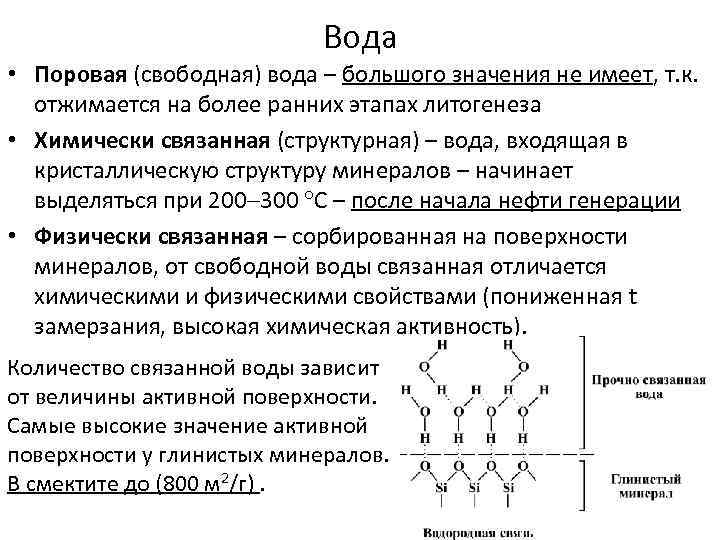 Вода • Поровая (свободная) вода – большого значения не имеет, т. к. отжимается на