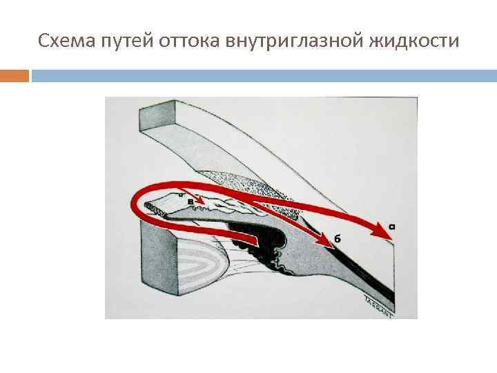 Схема путей оттока внутриглазной жидкости 