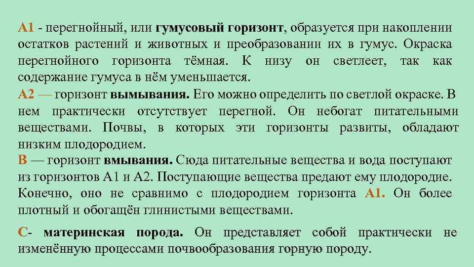 А 1 - перегнойный, или гумусовый горизонт, образуется при накоплении остатков растений и животных