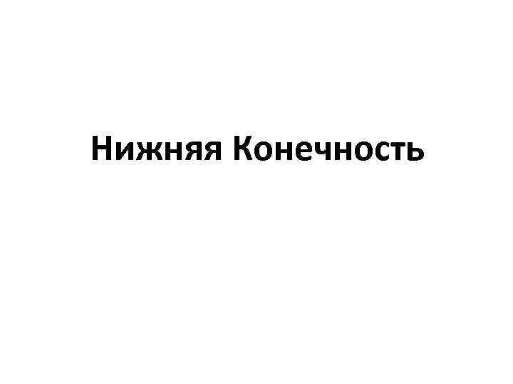 Нижняя Конечность 