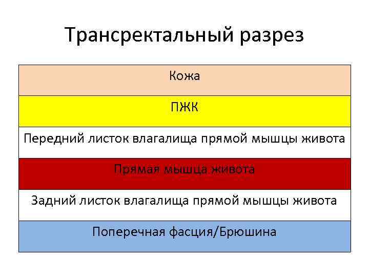 Трансректальный разрез Кожа ПЖК Передний листок влагалища прямой мышцы живота Прямая мышца живота Задний