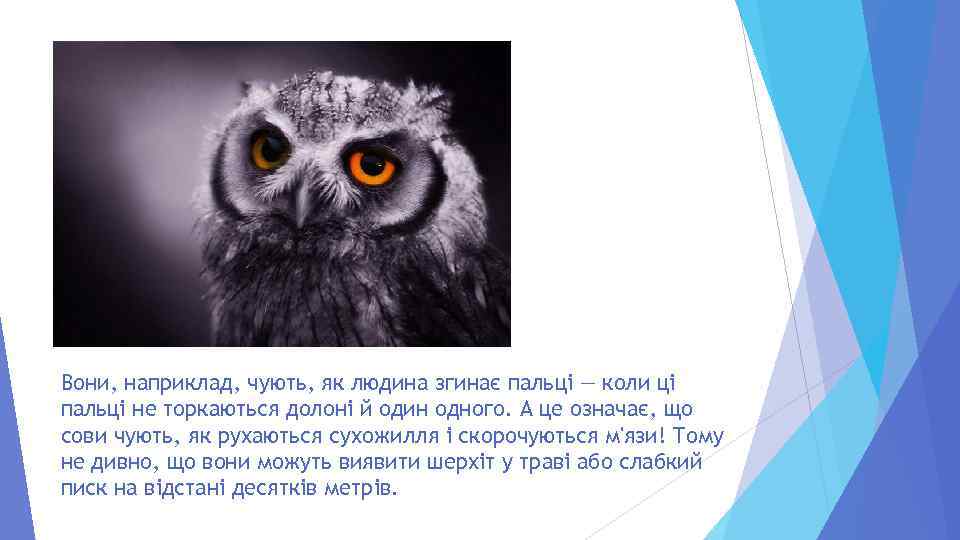 Вони, наприклад, чують, як людина згинає пальці — коли ці пальці не торкаються долоні