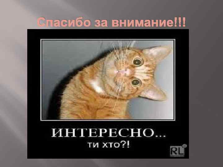 Спасибо за внимание!!! 