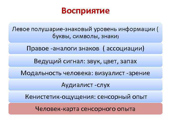 Восприятие Левое полушарие-знаковый уровень информации ( буквы, символы, знаки) Правое -аналоги знаков ( ассоциации)