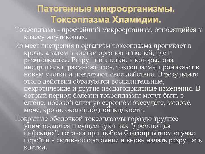 Патогенные микроорганизмы. Токсоплазма Хламидии. Токсоплазма - простейший микроорганизм, относящийся к классу жгутиковых. Из мест