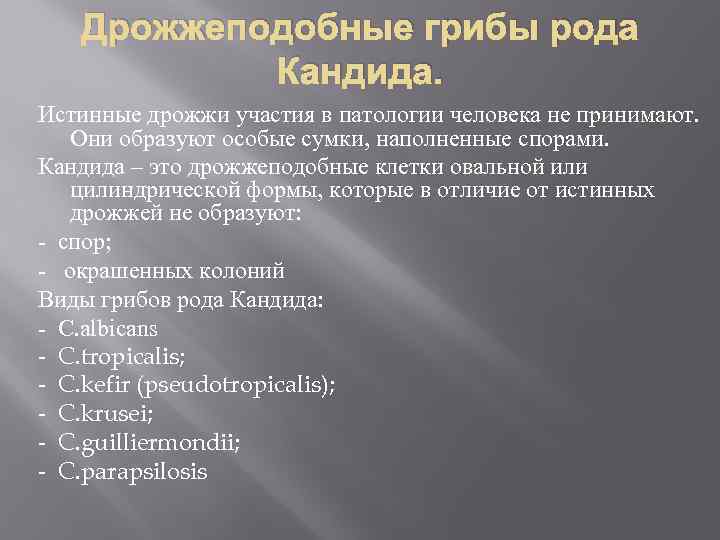 Дрожжеподобные грибы рода Кандида. Истинные дрожжи участия в патологии человека не принимают. Они образуют