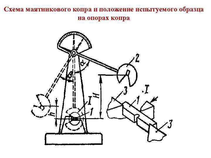 Схема маятникового копра и положение испытуемого образца на опорах копра 