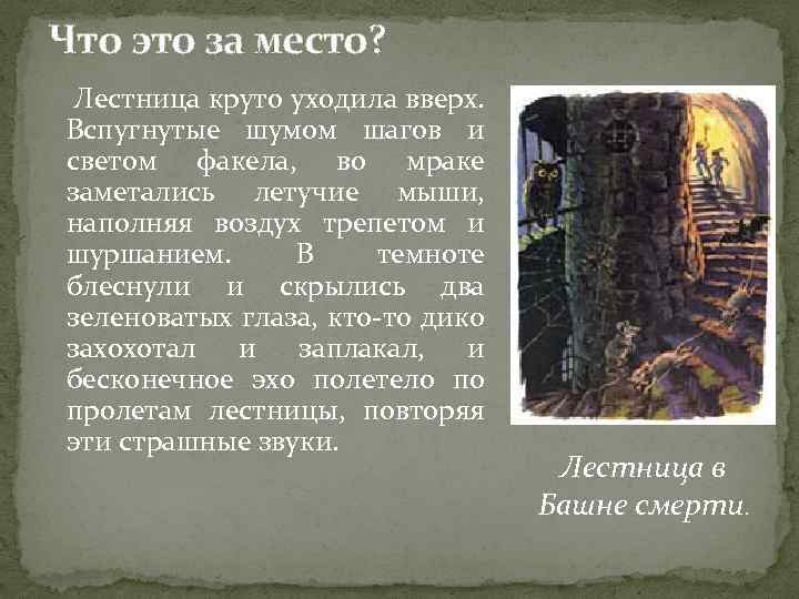 Что это за место? Лестница круто уходила вверх. Вспугнутые шумом шагов и светом факела,