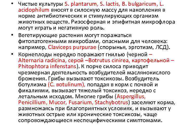  • Чистые культуры S. plantarum, S. lactis, B. bulgaricum, L. acidophilum вносят в