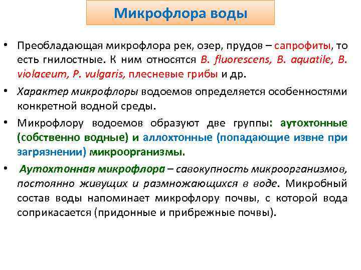 Микрофлора воды • Преобладающая микрофлора рек, озер, прудов – сапрофиты, то есть гнилостные. К